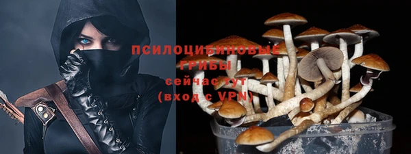 синтетический гашиш Алексин