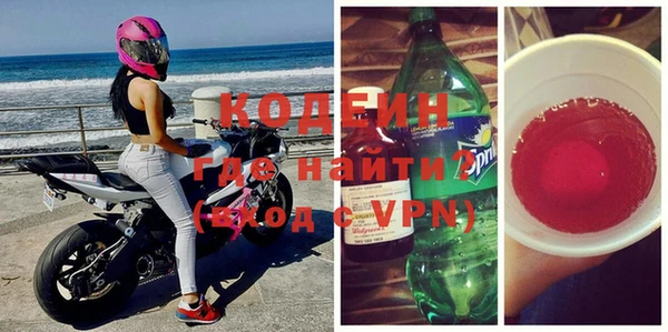 сатива Чердынь