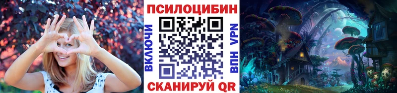 Галлюциногенные грибы мицелий купить цена OMG ONION Киров