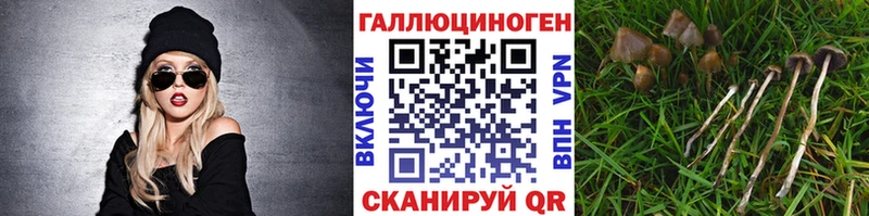 Галлюциногенные грибы ЛСД Киров
